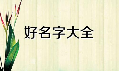 门店招牌如何起名字吸引人