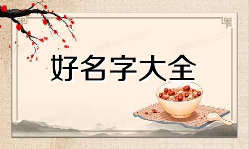 给手机上的文件夹如何起名