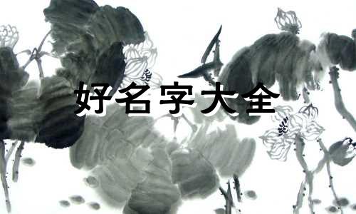 如何查字典给孩子起名字