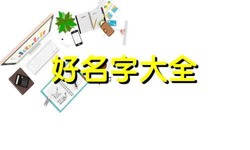 早教班如何起名字呢大全