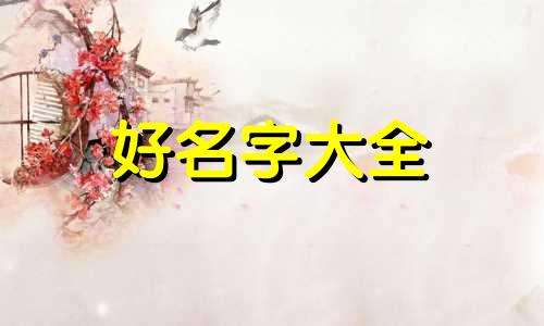 滑板车如何起名字呢男生