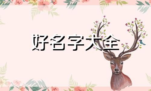 如何为头条号起名字呢男生