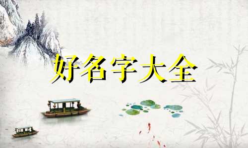 探房博主如何起名字呢