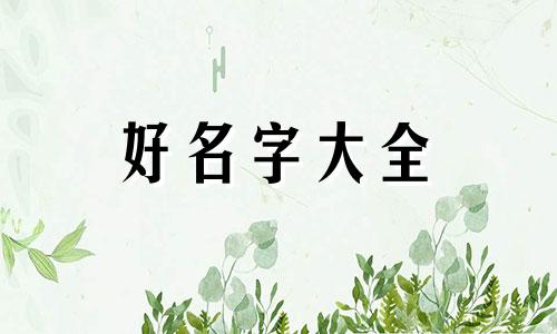 如何给马犬狗子起名字呢