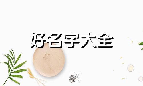 小泰迪如何起名字大全女