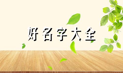 如何给虚拟歌姬起名称呢