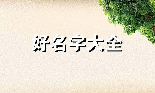 起司猫如何起名字好听点