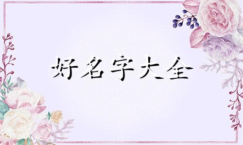 做零食如何起名好听点呢