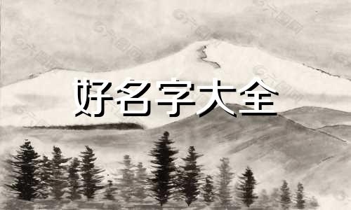 如何给布偶起名字好听点