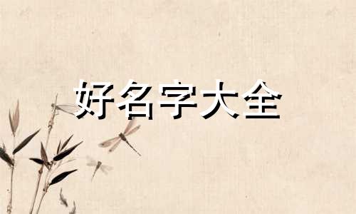 魏姓加李姓如何给孩子起名