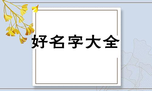如何给各小组起名字好听