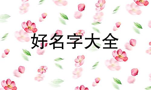 如何做代购服装店名字起名