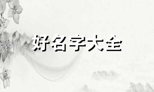 电动车执照如何起名称的