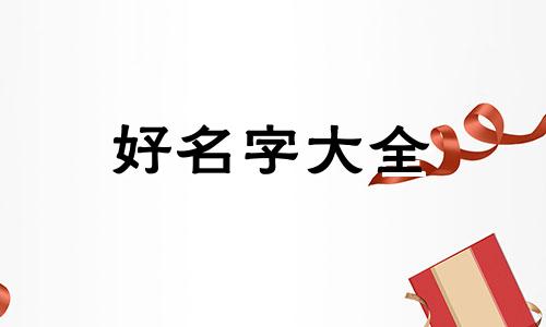 如何给蛋龟起名字大全集