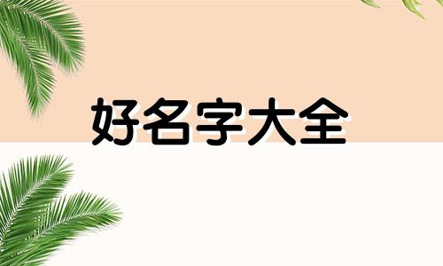 如何给篮球联赛起名字英文
