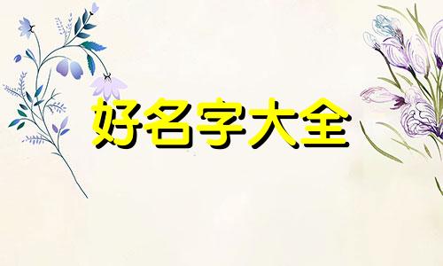 我是做物流的如何起名字