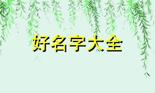 网红号如何起名字好听点