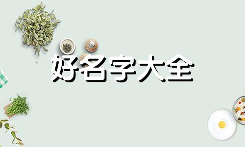 如何给燕窝店起名字呢男生