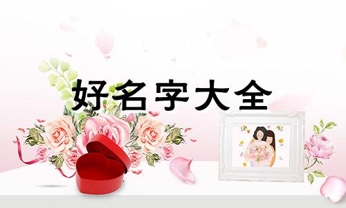 都不知道如何起名字了