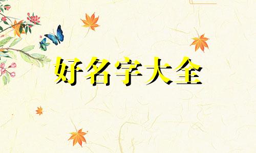 酒店如何给菜品起名字呢