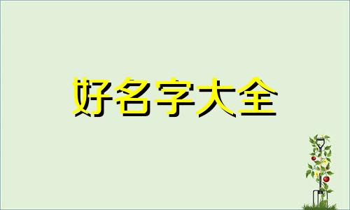 老师的群如何起名字呢英文