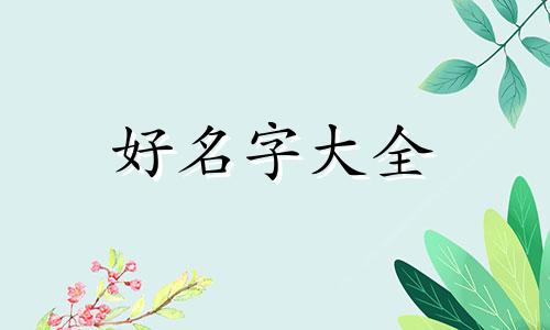 给孩子起名字如何查字典