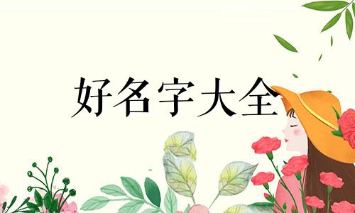 五个人的创业公司如何起名