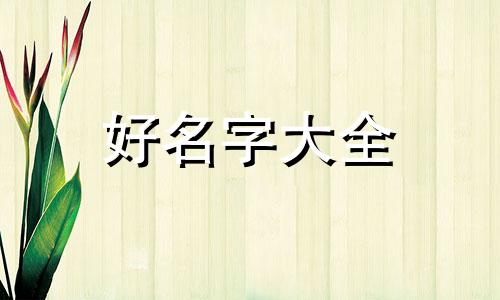 洗车行业创业如何起名称