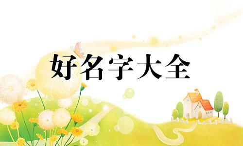 童车主题乐园如何起名字