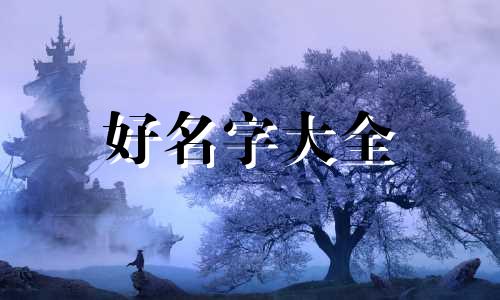 如何给猫起名字才好听点