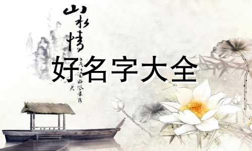 水和木如何组合起名好听男孩