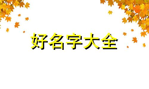 如何给一个班级起名字