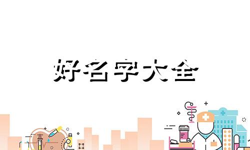 如何给野猫起名字女生可爱的