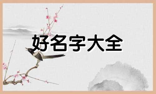 农产品领域账号如何起名字