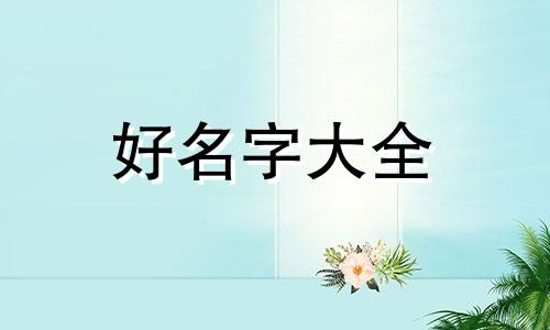 如何给猫咪起名字才好听女生