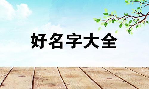 如何给母布偶猫起名字好听