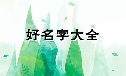 如何经营设计室公司起名字