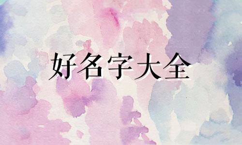 卖鱼小店如何起名字呢女生