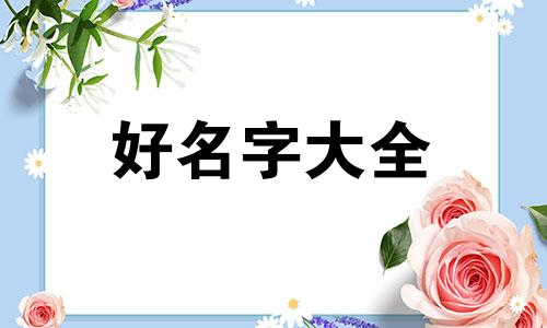 羽毛球拍如何起名字的