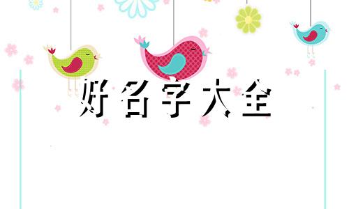 宠物店如何起名字霸气好听