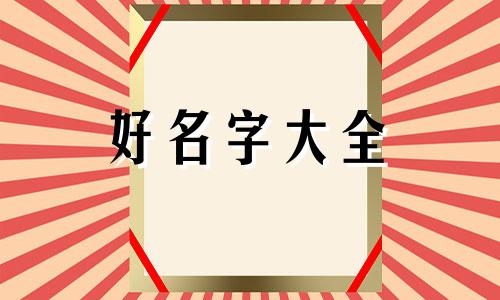 如何给马套圈起名字呢