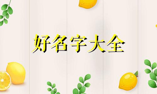 如何给玩偶起名字好听女生