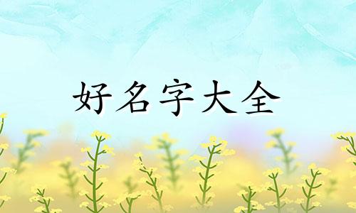 如何给暗卫起名字好听点