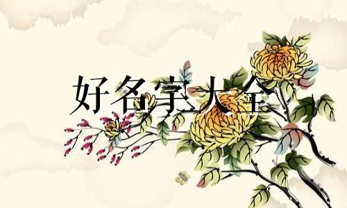 中老年女装店如何起名字好听