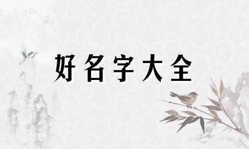 王与薛如何起名字好听点