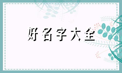 如何给动物们起名字呢英语