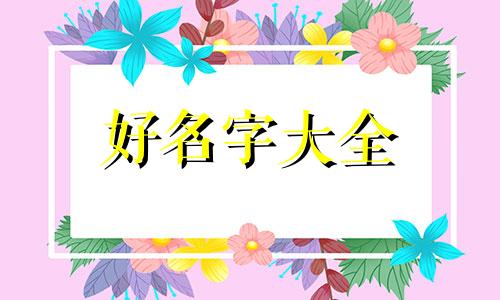 如何给自己的小宠物起名字