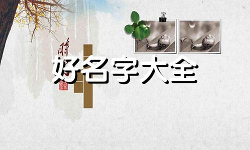 如何给猫猫起名字大全好听