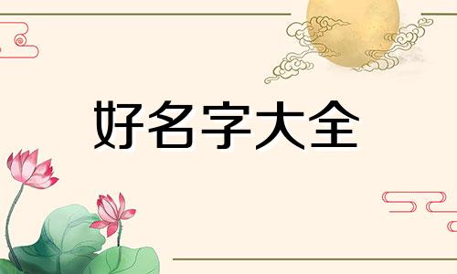 如何给自己的插画起名字