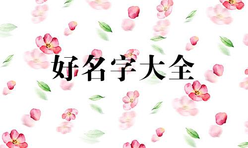 公司如何起名好一点的名字